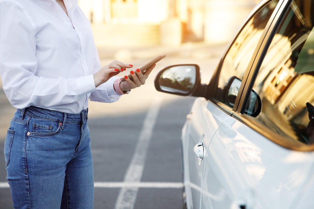 Number of changes in Brussels car-sharing sector