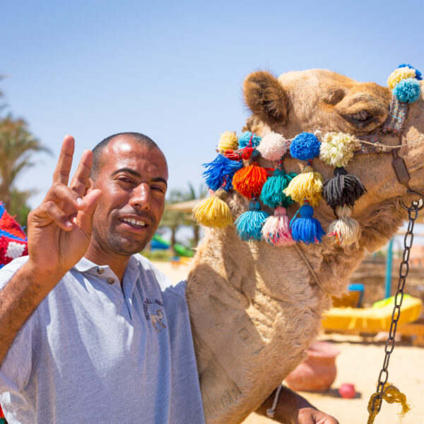 ANVR advocates not riding a camel at the holiday destination