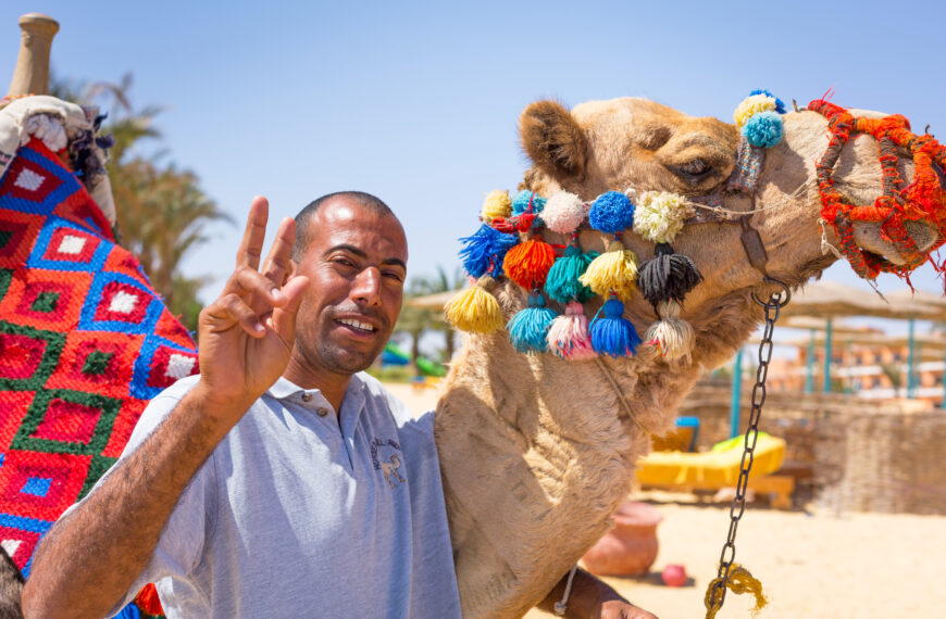 ANVR förespråkar mot kamelridning på...