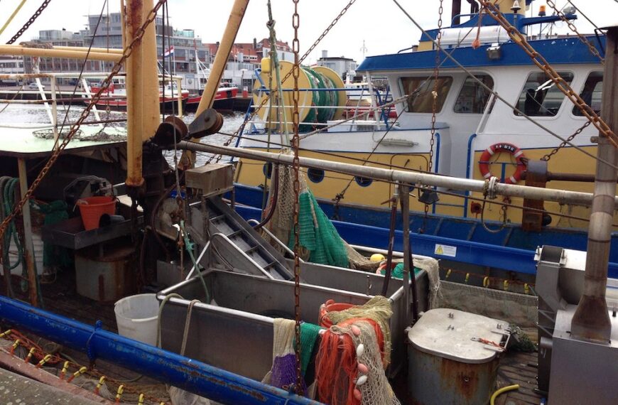 Remediation scheme for fishing cutters is lower than expected
