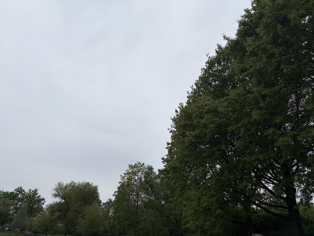 bewolkt